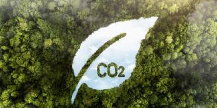 koolstofbalans